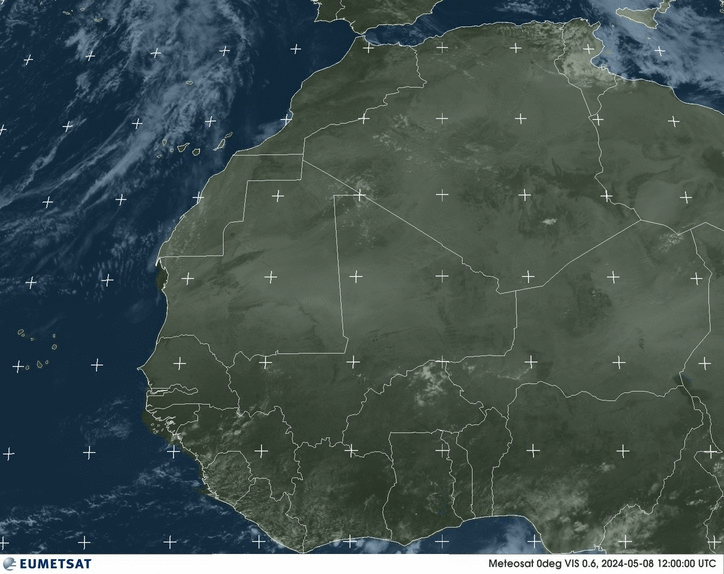 Meteosat - حركية - غرب أفريقيا - مرئية